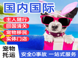 荆州沙市机场空运国际宠物托运 【国